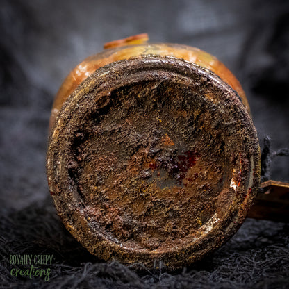 A close-up of a rusty jar lid.